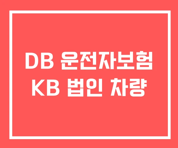 DB 운전자보험 KB 법인 차량