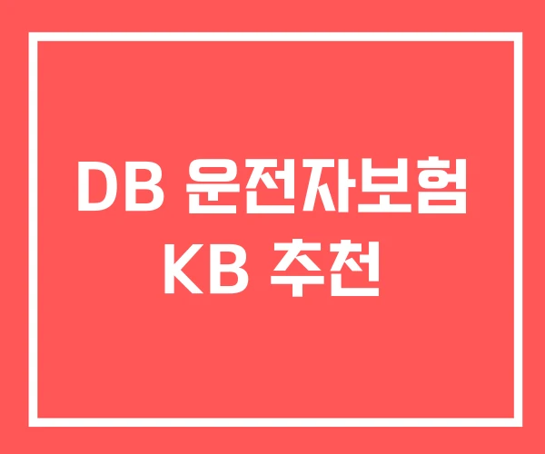 DB 운전자보험 KB 추천
