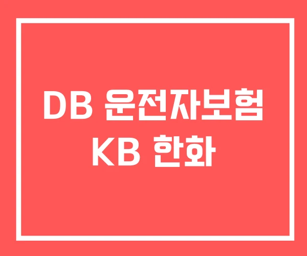 DB 운전자보험 KB 한화
