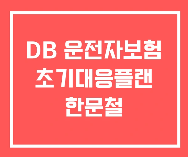 DB 운전자보험 초기대응플랜 한문철 DB 운전자보험 초기대응플랜 한문철