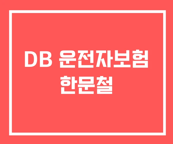 DB 운전자보험 한문철 DB 운전자보험 한문철