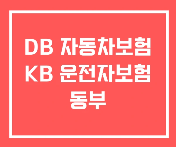 DB 자동차보험 KB 운전자보험 동부 DB 자동차보험 KB 운전자보험 동부