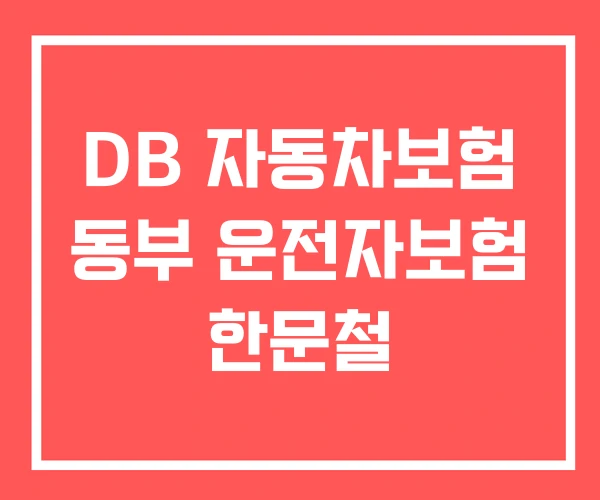 DB 자동차보험 동부 운전자보험 한문철 DB 자동차보험 동부 운전자보험 한문철