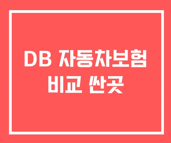 DB 자동차보험 비교 싼곳 DB 자동차보험 비교 싼곳