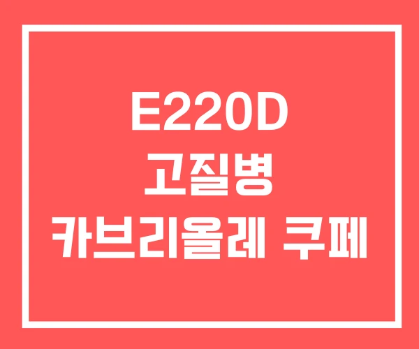 E220D 고질병 카브리올레 쿠페 E220D 고질병 카브리올레 쿠페