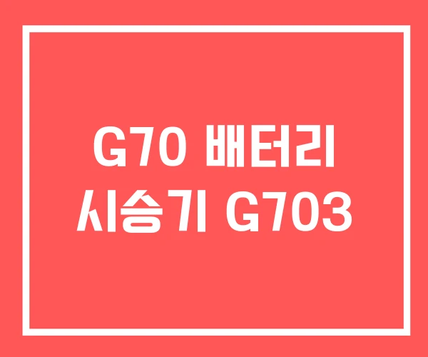 G70 배터리 시승기 G703