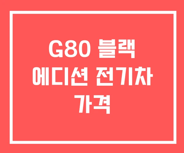 G80 블랙 에디션 전기차 가격