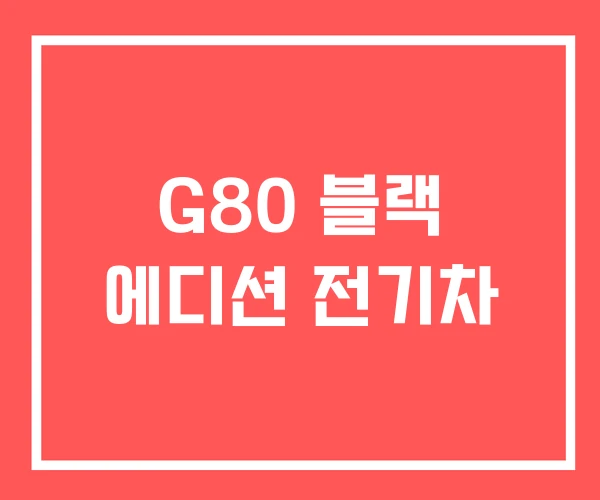 G80 블랙 에디션 전기차