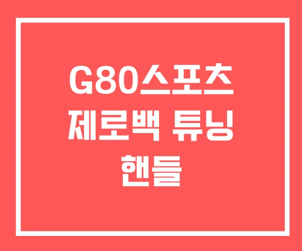 G80스포츠 제로백 튜닝 핸들 G80스포츠 제로백 튜닝 핸들