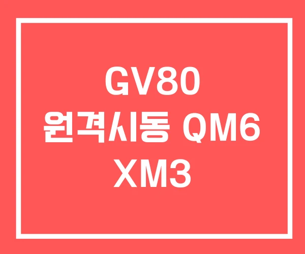 GV80 원격시동 QM6 XM3