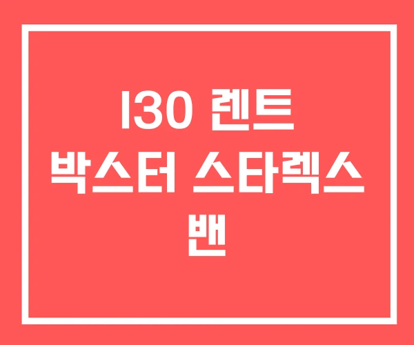 I30 렌트 박스터 스타렉스 밴 I30 렌트 박스터 스타렉스 밴