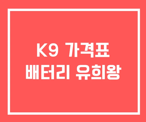 K9 가격표 배터리 유희왕