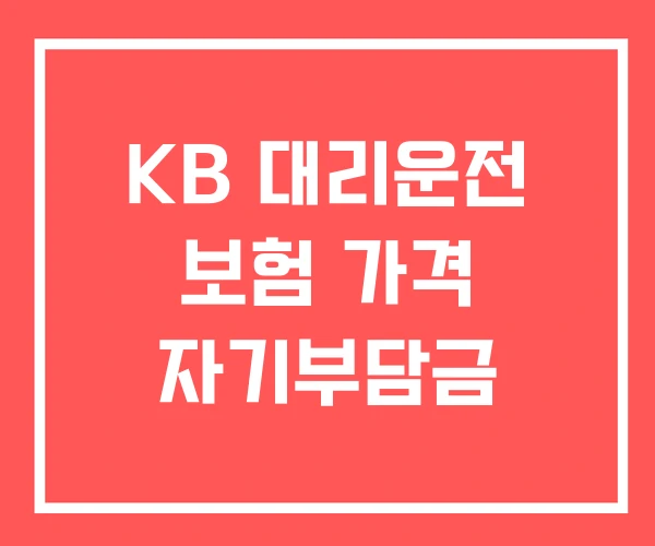 KB 대리운전 보험 가격 자기부담금