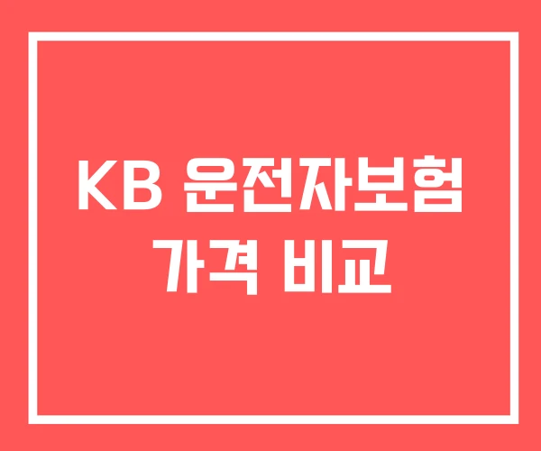 KB 운전자보험 가격 비교