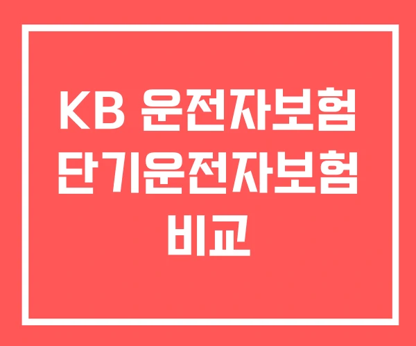 KB 운전자보험 단기운전자보험 비교