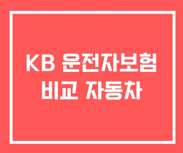 KB 운전자보험 비교 자동차