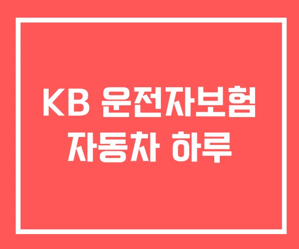 KB 운전자보험 자동차 하루