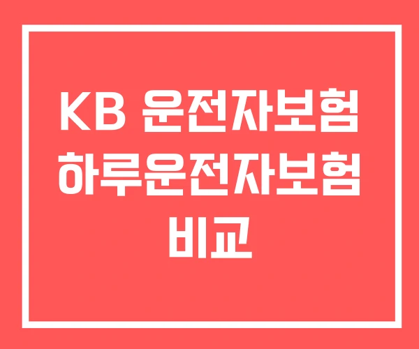 KB 운전자보험 하루운전자보험 비교 KB 운전자보험 하루운전자보험 비교
