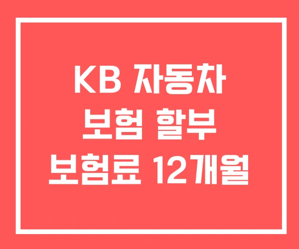 KB 자동차 보험 할부 보험료 12개월 KB 자동차 보험 할부 보험료 12개월
