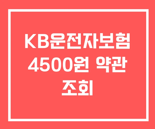 KB운전자보험 4500원 약관 조회 KB운전자보험 4500원 약관 조회