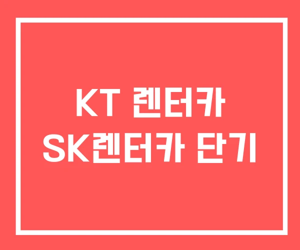 KT 렌터카 SK렌터카 단기