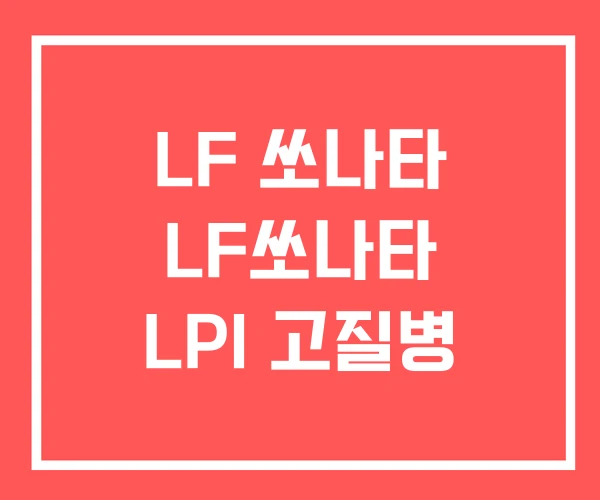 LF 쏘나타 LF쏘나타 LPI 고질병