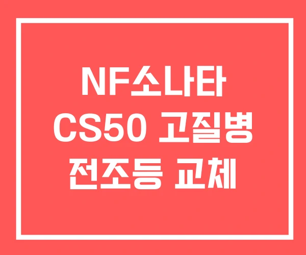 NF소나타 CS50 고질병 전조등 교체 NF소나타 CS50 고질병 전조등 교체