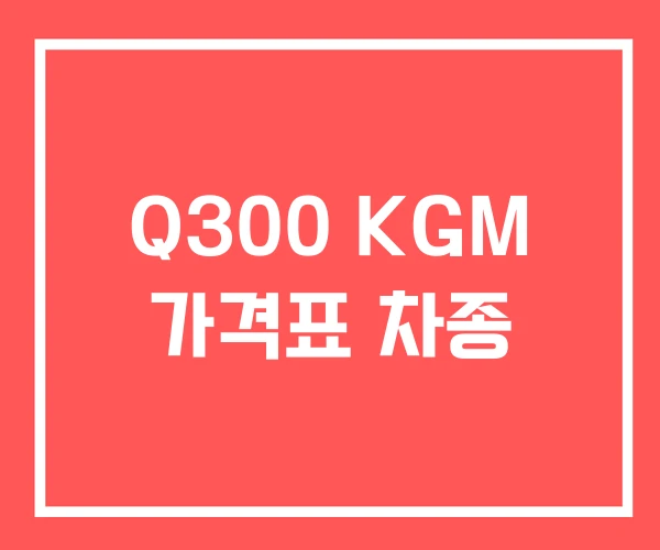 Q300 KGM 가격표 차종 Q300 KGM 가격표 차종
