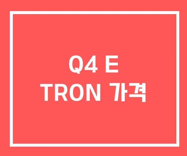 Q4 E TRON 가격