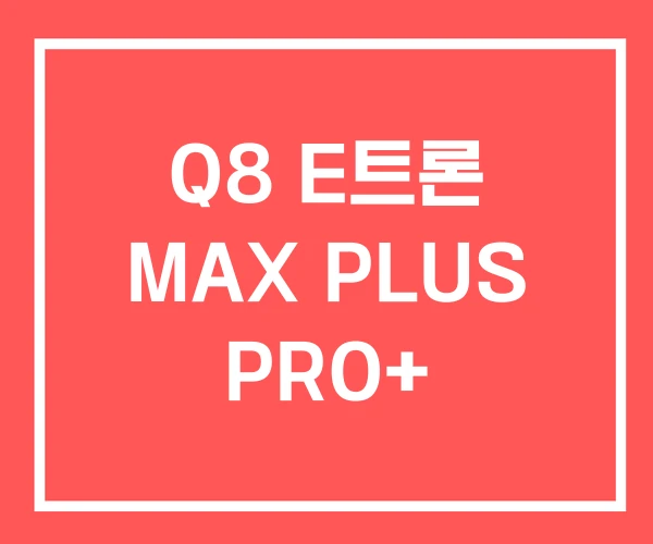 Q8 E트론 MAX PLUS PRO+ Q8 E트론 MAX PLUS PRO+