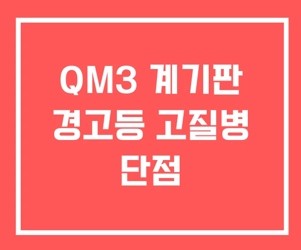 QM3 계기판 경고등 고질병 단점