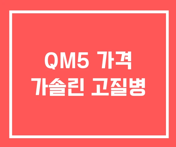 QM5 가격 가솔린 고질병