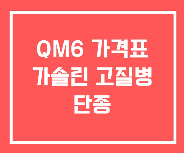 QM6 가격표 가솔린 고질병 단종 QM6 가격표 가솔린 고질병 단종