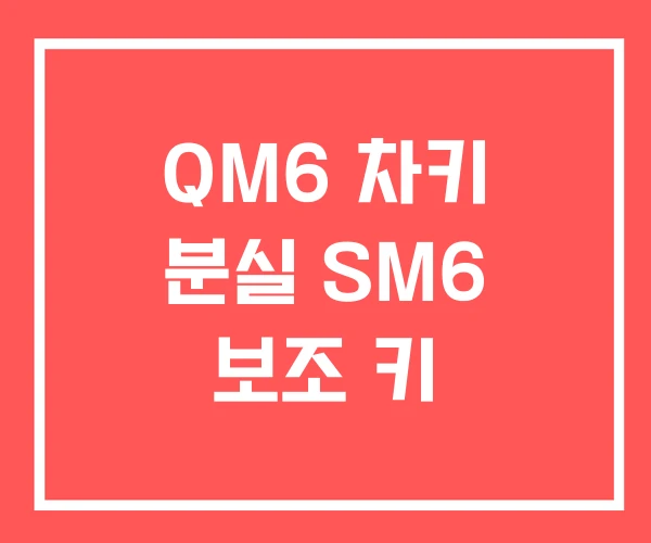 QM6 차키 분실 SM6 보조 키 QM6 차키 분실 SM6 보조 키