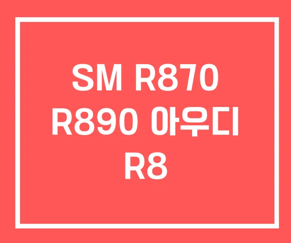 SM R870 R890 아우디 R8
