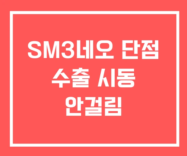 SM3네오 단점 수출 시동 안걸림 SM3네오 단점 수출 시동 안걸림