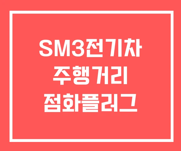 SM3전기차 주행거리 점화플러그 SM3전기차 주행거리 점화플러그