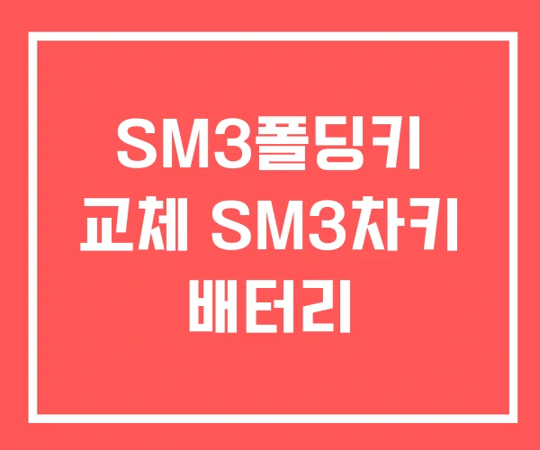 SM3폴딩키 교체 SM3차키 배터리