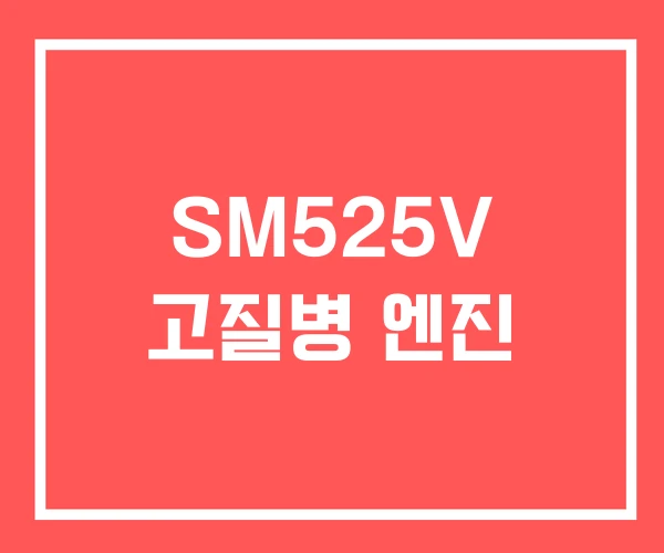SM525V 고질병 엔진 SM525V 고질병 엔진