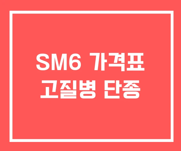 SM6 가격표 고질병 단종