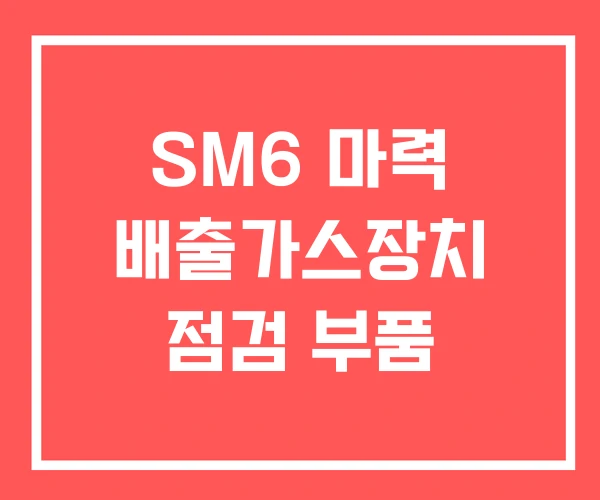 SM6 마력 배출가스장치 점검 부품