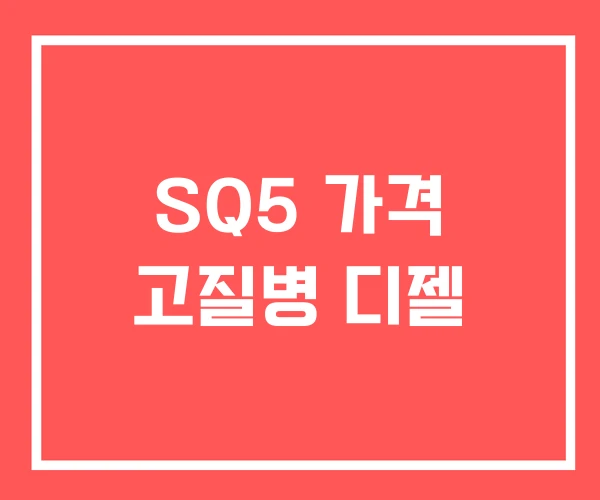 SQ5 가격 고질병 디젤