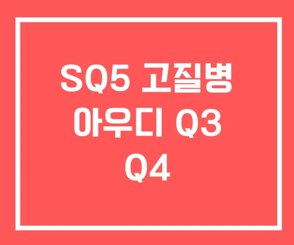 SQ5 고질병 아우디 Q3 Q4