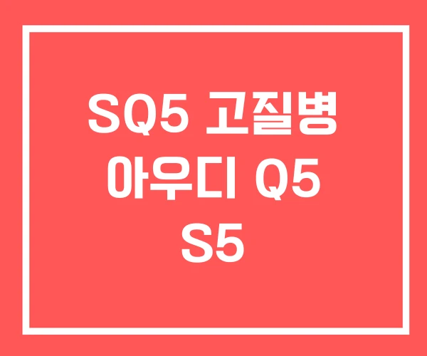 SQ5 고질병 아우디 Q5 S5