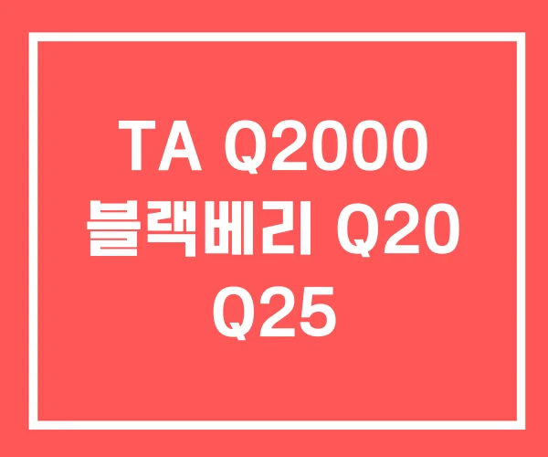 TA Q2000 블랙베리 Q20 Q25