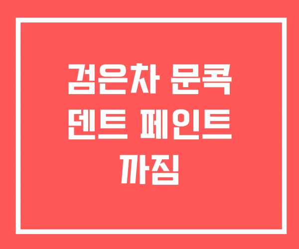 검은차 문콕 덴트 페인트 까짐 검은차 문콕 덴트 페인트 까짐