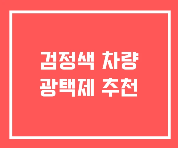 검정색 차량 광택제 추천