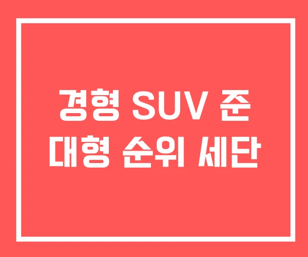 경형 SUV 준 대형 순위 세단