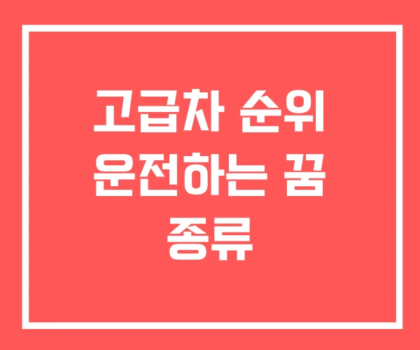 고급차 순위 운전하는 꿈 종류