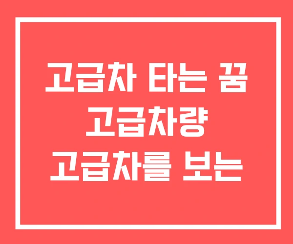 고급차 타는 꿈 고급차량 고급차를 보는